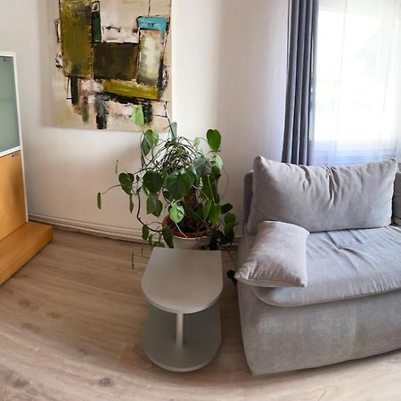 Schrammi'S Ferienwohnung Schwanau Esterno foto