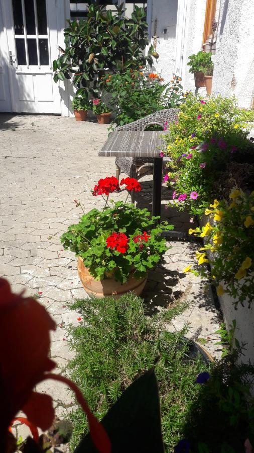 Schrammi'S Ferienwohnung Schwanau Esterno foto