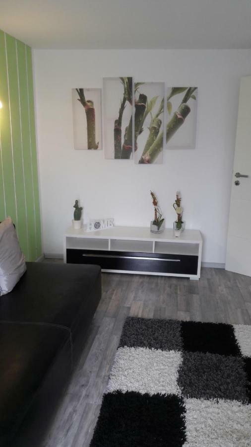 Schrammi'S Ferienwohnung Schwanau Esterno foto